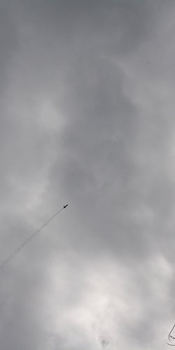 2013 Svojek Mirek Topinka